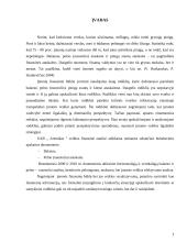 Įmonės finansinė analizė: UAB "Aremikas" 2 puslapis