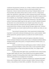 Lasko ir Altamiros urvų tapybos analizė 3 puslapis