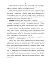 Augimo reguliatorių  įtaka gazoninių žolių sėklų dygimui ir augalų vystymuisi 6 puslapis