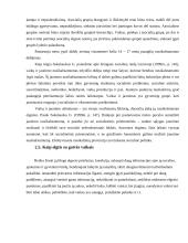 Gatvės vaiko fenomenas Lietuvoje 12 puslapis