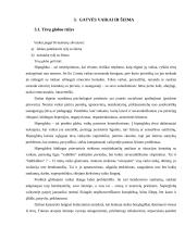 Gatvės vaiko fenomenas Lietuvoje 13 puslapis