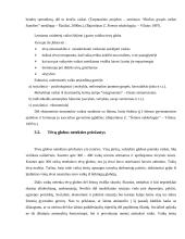 Gatvės vaiko fenomenas Lietuvoje 14 puslapis