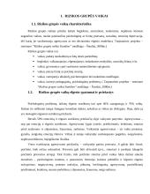 Gatvės vaiko fenomenas Lietuvoje 5 puslapis