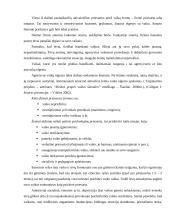 Gatvės vaiko fenomenas Lietuvoje 6 puslapis