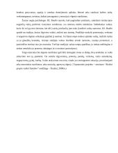 Gatvės vaiko fenomenas Lietuvoje 7 puslapis