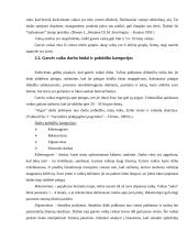 Gatvės vaiko fenomenas Lietuvoje 9 puslapis