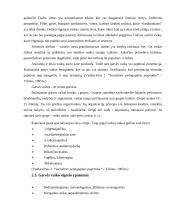 Gatvės vaiko fenomenas Lietuvoje 10 puslapis