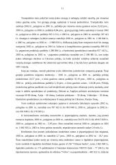 Įmonės tolimesnės veiklos galimybių tyrimas 11 puslapis