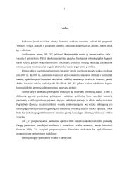 Įmonės tolimesnės veiklos galimybių tyrimas 5 puslapis