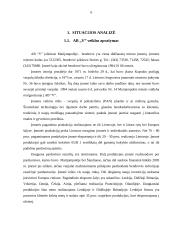 Įmonės tolimesnės veiklos galimybių tyrimas 6 puslapis