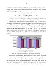 Įmonės tolimesnės veiklos galimybių tyrimas 9 puslapis