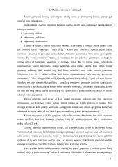 Kainų politikos pateikimas bei motyvavimas 11 puslapis