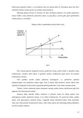 Kainų politikos pateikimas bei motyvavimas 12 puslapis