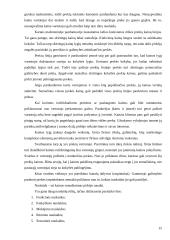 Kainų politikos pateikimas bei motyvavimas 15 puslapis