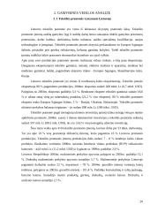 Kainų politikos pateikimas bei motyvavimas 20 puslapis