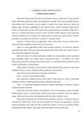 Kainų politikos pateikimas bei motyvavimas 4 puslapis