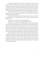 Kainų politikos pateikimas bei motyvavimas 5 puslapis