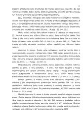 Lietuvos užsienio prekybos sąlygų pokyčiai 2003-2005 metais 13 puslapis