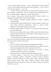 Lietuvos užsienio prekybos sąlygų pokyčiai 2003-2005 metais 4 puslapis