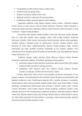 Lietuvos užsienio prekybos sąlygų pokyčiai 2003-2005 metais 6 puslapis