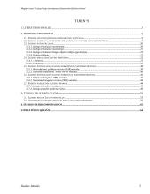 Lizingo kaip alternatyvaus finansavimo šaltinio tyrimas 2 puslapis