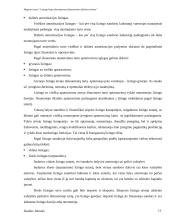 Lizingo kaip alternatyvaus finansavimo šaltinio tyrimas 11 puslapis