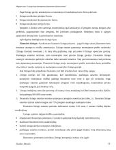 Lizingo kaip alternatyvaus finansavimo šaltinio tyrimas 12 puslapis