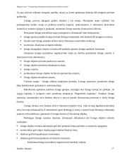 Lizingo kaip alternatyvaus finansavimo šaltinio tyrimas 17 puslapis