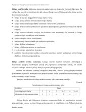 Lizingo kaip alternatyvaus finansavimo šaltinio tyrimas 19 puslapis