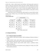 Lizingo kaip alternatyvaus finansavimo šaltinio tyrimas 20 puslapis