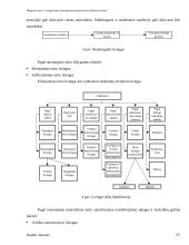 Lizingo kaip alternatyvaus finansavimo šaltinio tyrimas 10 puslapis