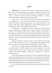 Marketingo priemonės "X Casino" versle 2 puslapis