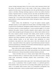 Marketingo priemonės "X Casino" versle 12 puslapis