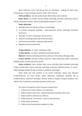 Marketingo priemonės "X Casino" versle 3 puslapis