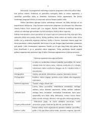 Marketingo priemonės "X Casino" versle 8 puslapis