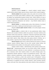 Gyventojų pajamų mokesčio analizė 12 puslapis