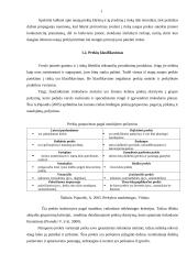 Naujo produkto įvedimo galimybės įmonėje: prekyba sėjamosiomis, volais, kultivatoriais 11 puslapis