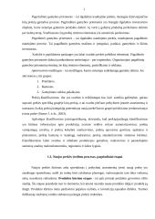 Naujo produkto įvedimo galimybės įmonėje: prekyba sėjamosiomis, volais, kultivatoriais 13 puslapis