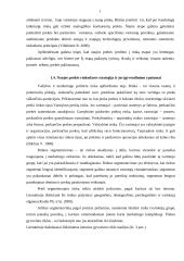 Naujo produkto įvedimo galimybės įmonėje: prekyba sėjamosiomis, volais, kultivatoriais 16 puslapis