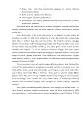 Naujo produkto įvedimo galimybės įmonėje: prekyba sėjamosiomis, volais, kultivatoriais 19 puslapis