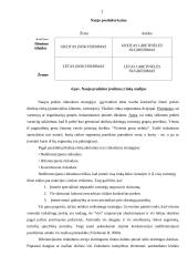 Naujo produkto įvedimo galimybės įmonėje: prekyba sėjamosiomis, volais, kultivatoriais 20 puslapis