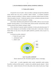 Naujo produkto įvedimo galimybės įmonėje: prekyba sėjamosiomis, volais, kultivatoriais 7 puslapis