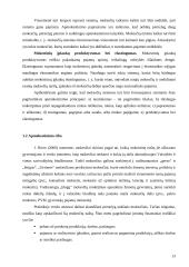 Netiesioginių mokesčių vaidmuo formuojant biudžeto pajamas 13 puslapis