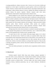 Netiesioginių mokesčių vaidmuo formuojant biudžeto pajamas 16 puslapis