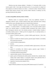 Netiesioginių mokesčių vaidmuo formuojant biudžeto pajamas 19 puslapis