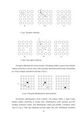 Radiacijos stimuliuota difuzija silicio monokristaluose 10 puslapis