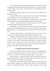 Socialinio darbuotojo vaidmuo Visagino pensionate 16 puslapis