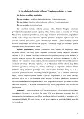 Socialinio darbuotojo vaidmuo Visagino pensionate 19 puslapis