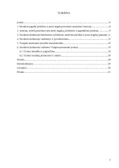 Socialinio darbuotojo vaidmuo Visagino pensionate 5 puslapis