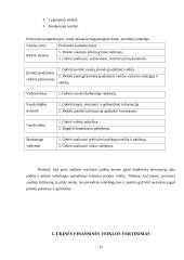 Ūkinės finansinės veiklos efektyvumo didinimas autopaslaugų įmonėje: "Ratas" 12 puslapis